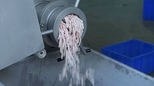160凍肉絞肉機(jī)適用于大型的食品加工廠