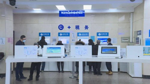 黑龍江省全面上線增值稅電子專用發票，為信息咨詢服務行業注入數字化新動能